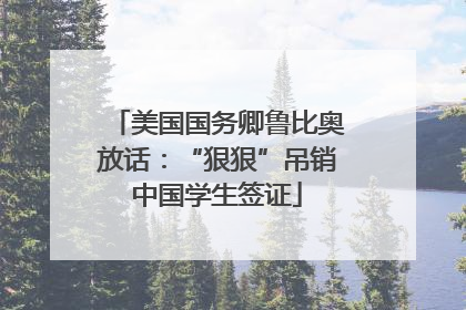 美国国务卿鲁比奥放话：“狠狠”吊销中国学生签证