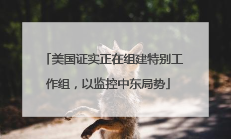 美国证实正在组建特别工作组，以监控中东局势