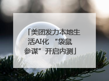美团发力本地生活AI化 “袋鼠参谋”开启内测