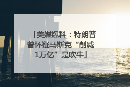美媒爆料：特朗普曾怀疑马斯克“削减1万亿”是吹牛