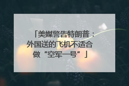 美媒警告特朗普：外国送的飞机不适合做“空军一号”