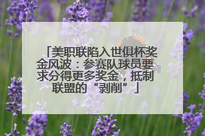 美职联陷入世俱杯奖金风波：参赛队球员要求分得更多奖金，抵制联盟的“剥削”