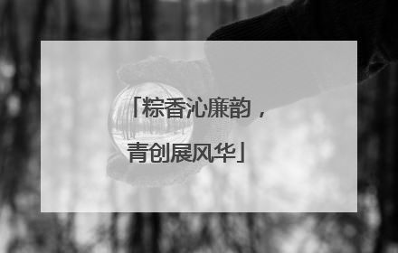 粽香沁廉韵，青创展风华