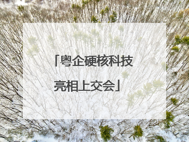 粤企硬核科技亮相上交会