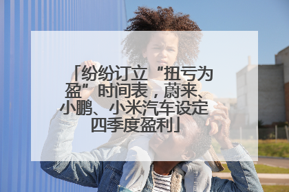 纷纷订立“扭亏为盈”时间表，蔚来、小鹏、小米汽车设定四季度盈利