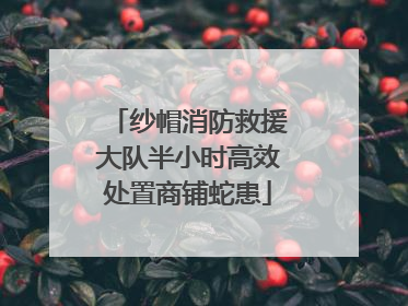 纱帽消防救援大队半小时高效处置商铺蛇患