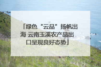绿色“云品”扬帆出海 云南玉溪农产品出口呈现良好态势