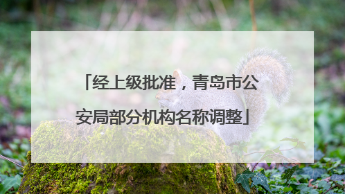 经上级批准，青岛市公安局部分机构名称调整
