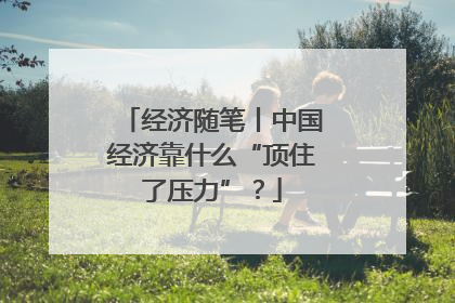 经济随笔丨中国经济靠什么“顶住了压力”？