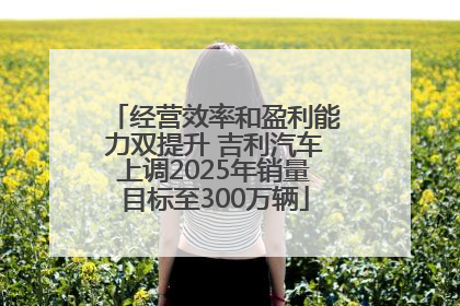 经营效率和盈利能力双提升 吉利汽车上调2025年销量目标至300万辆