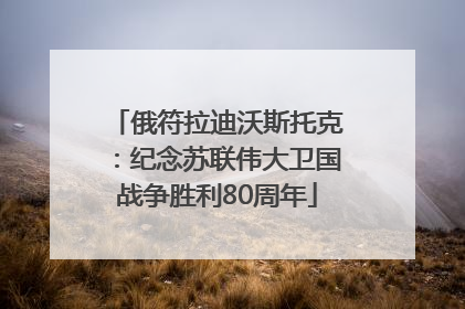 俄符拉迪沃斯托克：纪念苏联伟大卫国战争胜利80周年