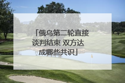 俄乌第二轮直接谈判结束 双方达成哪些共识