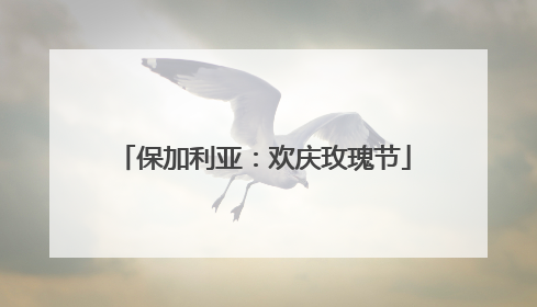 保加利亚：欢庆玫瑰节