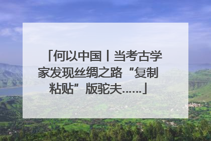 何以中国丨当考古学家发现丝绸之路“复制粘贴”版驼夫……