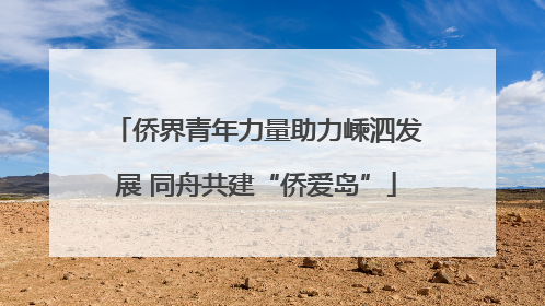 侨界青年力量助力嵊泗发展 同舟共建“侨爱岛”
