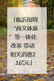 临沂围绕“商文体旅”等一体化改革 带动相关消费2.1亿元