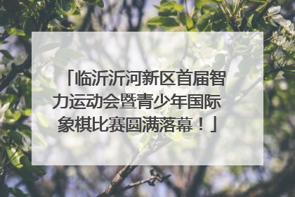 临沂沂河新区首届智力运动会暨青少年国际象棋比赛圆满落幕！