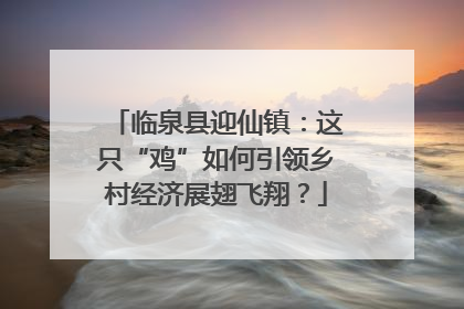 临泉县迎仙镇：这只“鸡”如何引领乡村经济展翅飞翔？