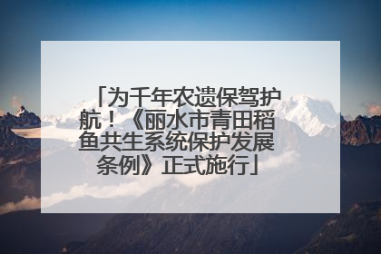 为千年农遗保驾护航！《丽水市青田稻鱼共生系统保护发展条例》正式施行