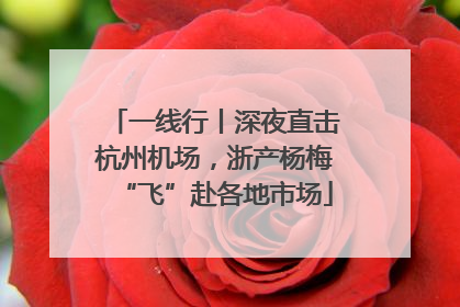 一线行丨深夜直击杭州机场，浙产杨梅“飞”赴各地市场