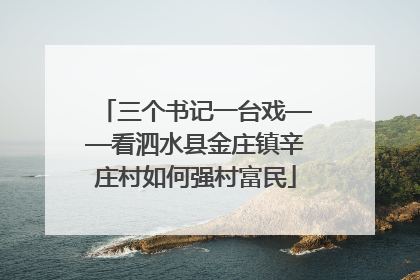 三个书记一台戏——看泗水县金庄镇辛庄村如何强村富民