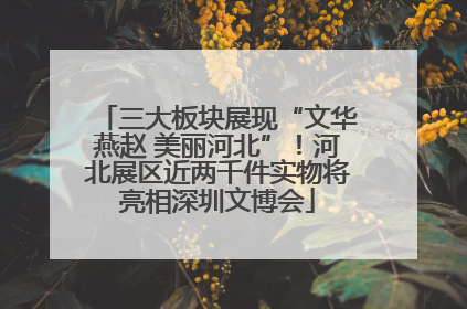 三大板块展现“文华燕赵 美丽河北”！河北展区近两千件实物将亮相深圳文博会