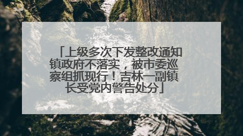 上级多次下发整改通知镇政府不落实，被市委巡察组抓现行！吉林一副镇长受党内警告处分