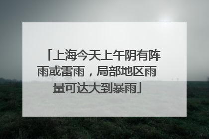 上海今天上午阴有阵雨或雷雨，局部地区雨量可达大到暴雨