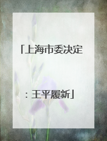 上海市委决定：王平履新