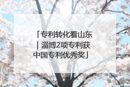 专利转化看山东｜淄博2项专利获中国专利优秀奖