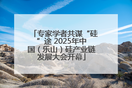 专家学者共谋“硅”途 2025年中国（乐山）硅产业链发展大会开幕