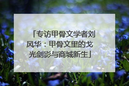 专访甲骨文学者刘风华：甲骨文里的戈光剑影与商城新生
