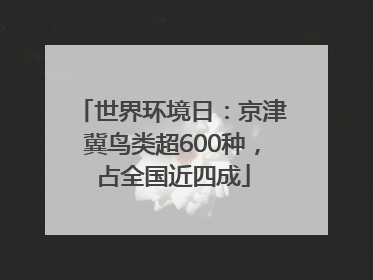 世界环境日：京津冀鸟类超600种，占全国近四成
