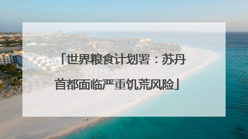 世界粮食计划署：苏丹首都面临严重饥荒风险
