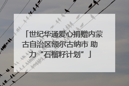 世纪华通爱心捐赠内蒙古自治区额尔古纳市 助力“石榴籽计划”