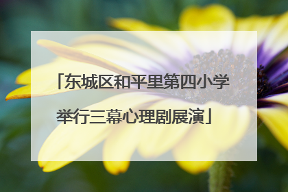 东城区和平里第四小学举行三幕心理剧展演