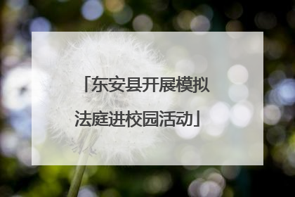 东安县开展模拟法庭进校园活动