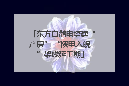 东方白鹳电塔建“产房” “陕电入皖”架线延工期