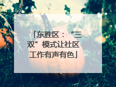 东胜区：“三双”模式让社区工作有声有色