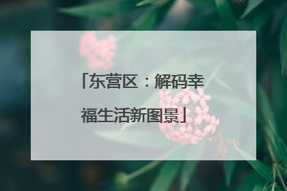 东营区：解码幸福生活新图景