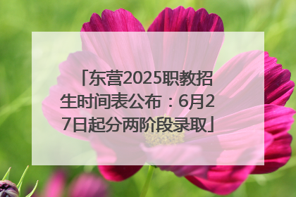 东营2025职教招生时间表公布：6月27日起分两阶段录取