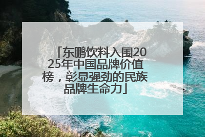 东鹏饮料入围2025年中国品牌价值榜，彰显强劲的民族品牌生命力