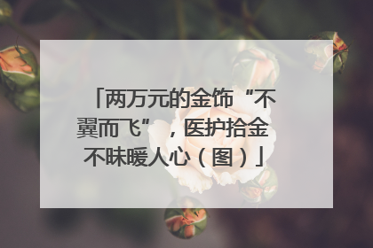 两万元的金饰“不翼而飞”，医护拾金不昧暖人心（图）