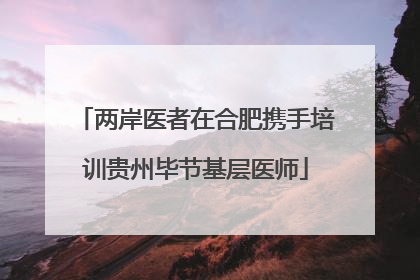 两岸医者在合肥携手培训贵州毕节基层医师