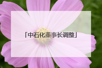 中石化董事长调整