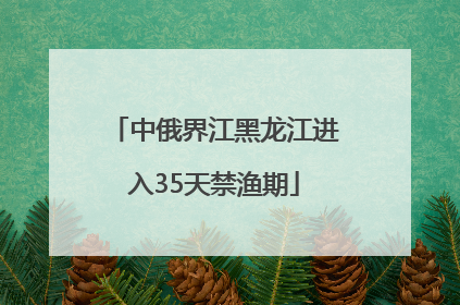 中俄界江黑龙江进入35天禁渔期