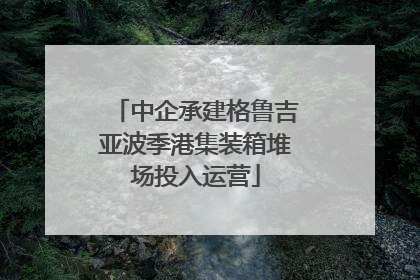 中企承建格鲁吉亚波季港集装箱堆场投入运营