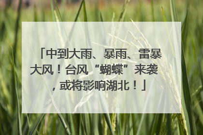 中到大雨、暴雨、雷暴大风！台风“蝴蝶”来袭，或将影响湖北！