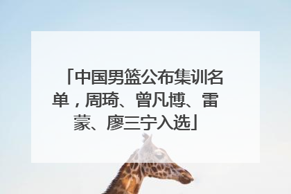 中国男篮公布集训名单，周琦、曾凡博、雷蒙、廖三宁入选