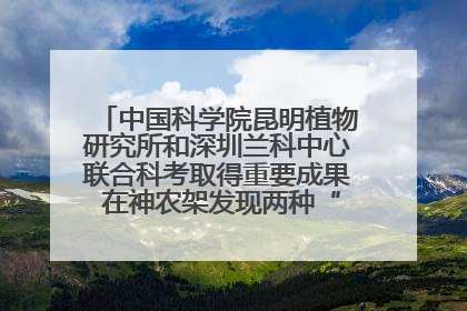 中国科学院昆明植物研究所和深圳兰科中心联合科考取得重要成果 在神农架发现两种“国保”级兰花